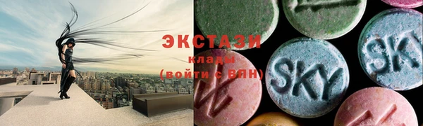 крисы Краснослободск