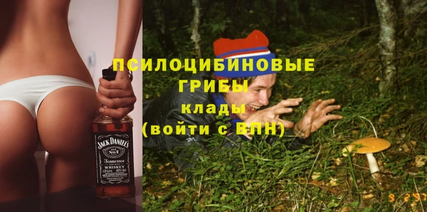 гашик Костерёво