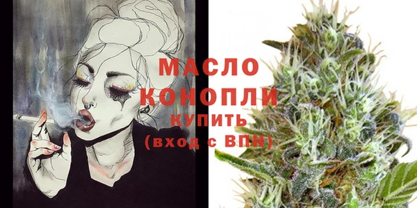 гашик Костерёво